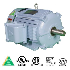Hyundai Electric Explosion Proof Motor Rigid Base